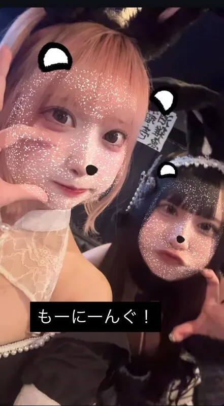 Gato chan ライブチャット 配信