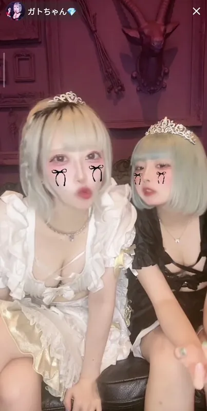 Gato chan ライブチャット 配信