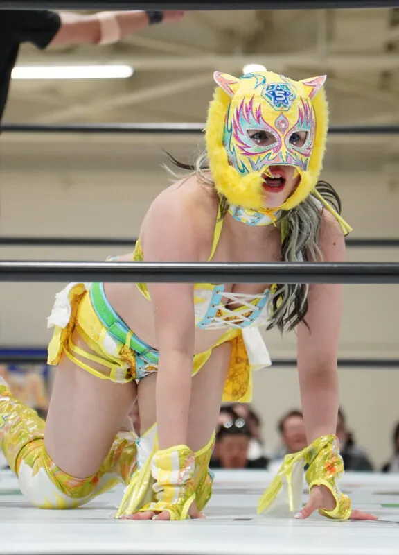 Starlight Kid ライブチャット 配信